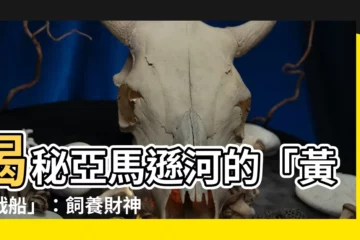 【黃金戰古代戰船】揭秘亞馬遜河的「黃金戰船」：飼養財神魚的14堂課