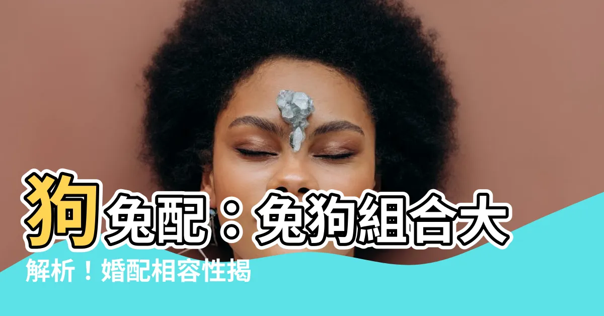 【狗兔配】狗兔配：兔狗組合大解析！婚配相容性揭密