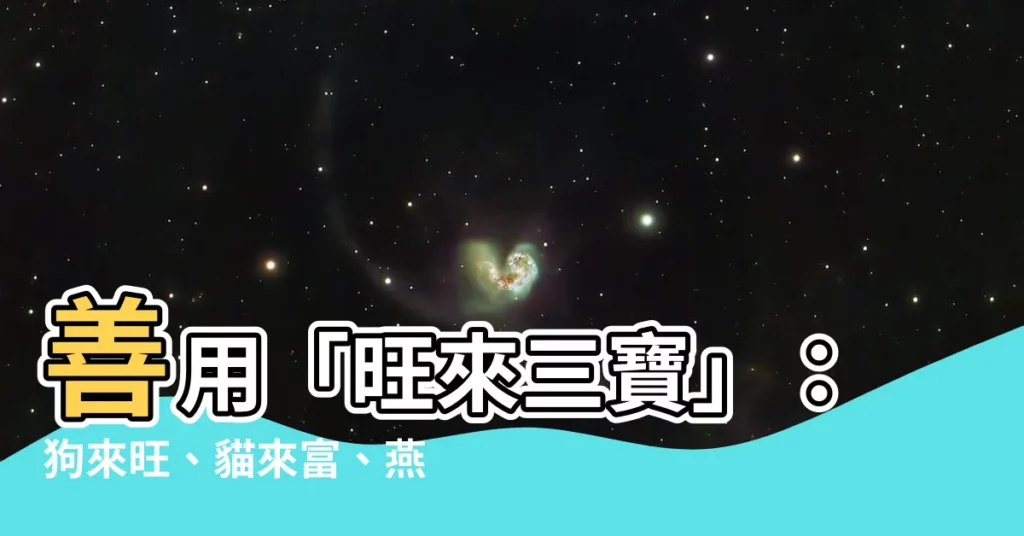 【狗來旺】善用「旺來三寶」：狗來旺、貓來富、燕來家興旺