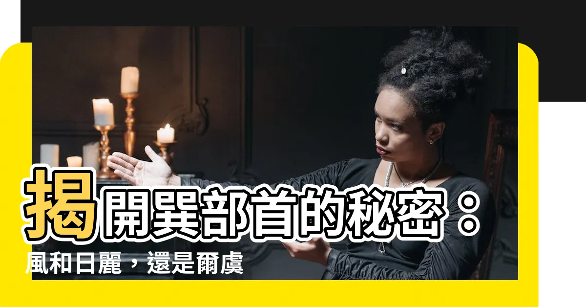 【巽部首】揭開巽部首的秘密：風和日麗，還是爾虞我詐？