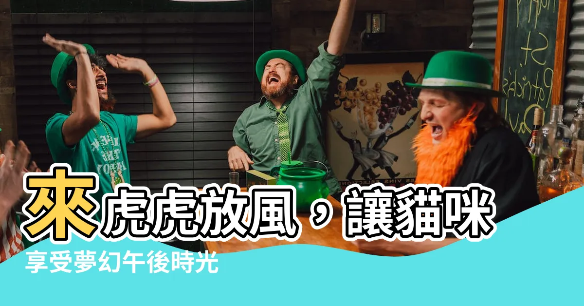【虎虎放風】來虎虎放風，讓貓咪享受夢幻午後時光