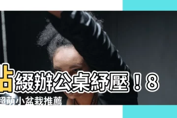 【辦公桌小盆栽】點綴辦公桌紓壓！8 款超萌小盆栽推薦