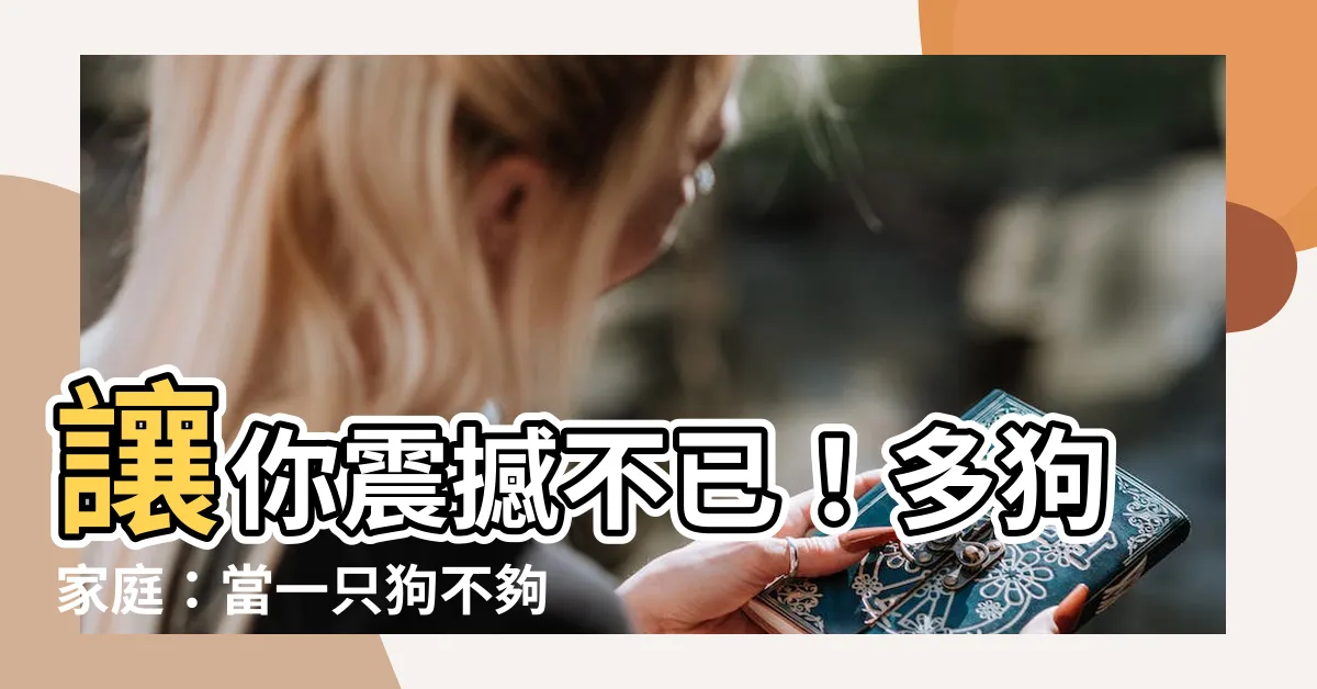 【多狗家庭】讓你震撼不已！多狗家庭：當一隻狗不夠，你該養上萬只！