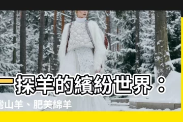 【羊的特徵】一探羊的繽紛世界：台灣山羊、肥美綿羊與牠們的獨特特徵