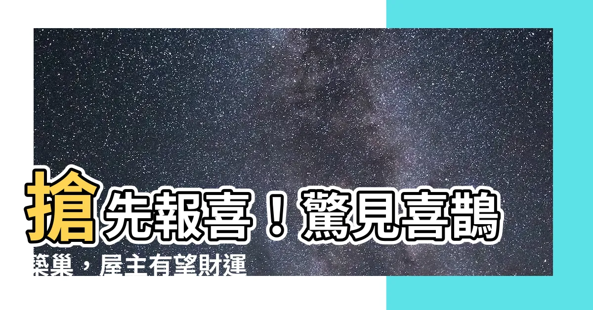 【喜鵲築巢風水】搶先報喜！驚見喜鵲築巢，屋主有望財運大飆漲