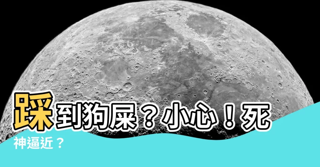 【踩到狗尿】踩到狗屎？小心！死神逼近？