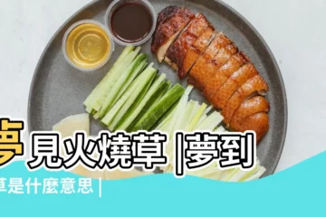 【夢見火燒植物】夢見火燒草 |夢到燒草是什麼意思 |夢見燒草 |