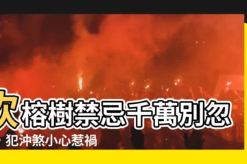 【砍榕樹禁忌】砍榕樹禁忌千萬別忽視，犯沖煞小心惹禍上身！