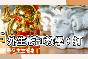 【户外生態缸教學】户外生態缸教學：打造超簡單又生生不息的生態缸！