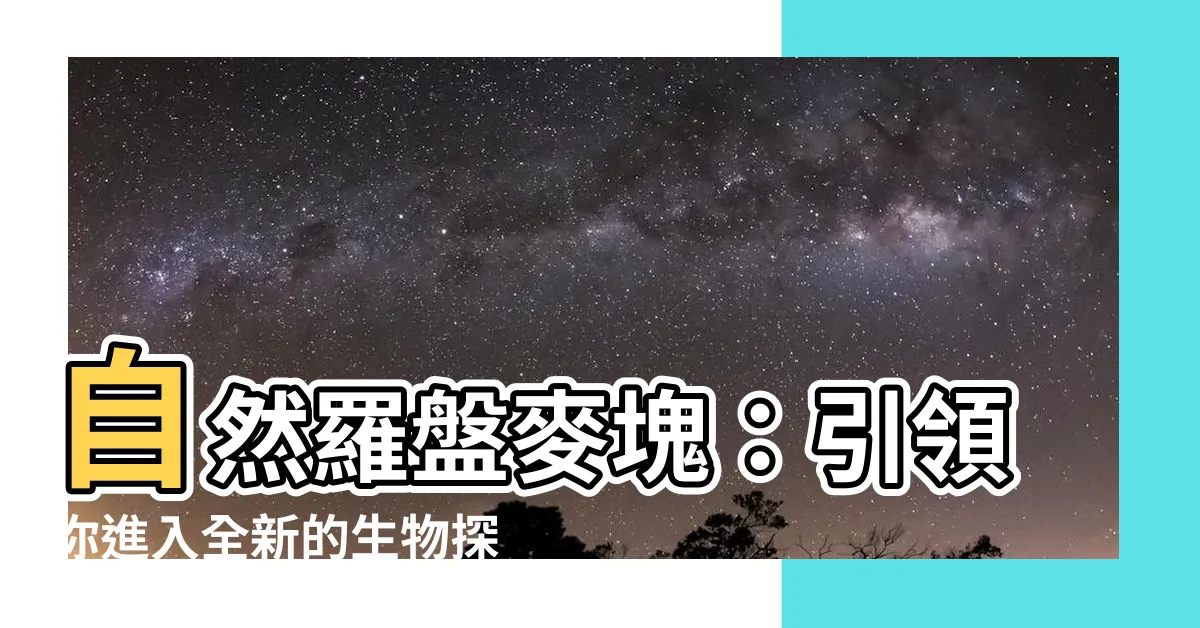 【羅盤 麥塊】自然羅盤麥塊：引領你進入全新的生物探索之旅！