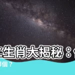 【十二地支】十二生肖大揭秘：你的地支是哪個？