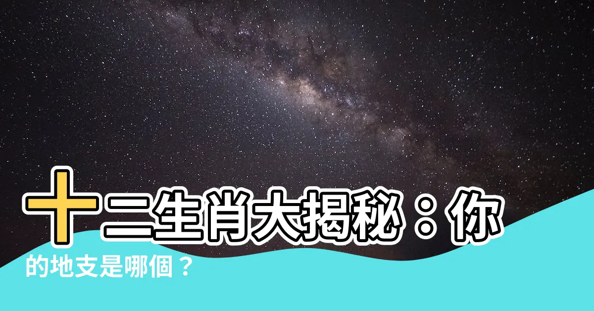 【十二地支】十二生肖大揭秘:你的地支是哪個?
