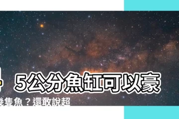 【45公分魚缸可以養幾隻魚】45公分魚缸可以豪養幾隻魚？還敢説超載？點我看密技！