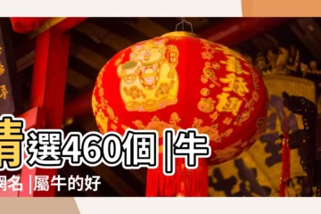 【屬牛網名用什麼好聽】精選460個 |牛的網名 |屬牛的好聽的男孩名字大全集 |
