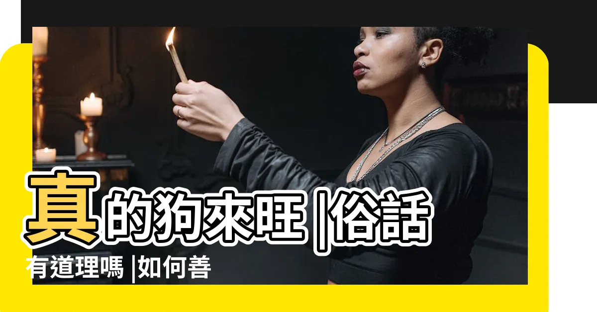 【狗來旺】真的狗來旺 |俗話有道理嗎 |如何善用組織中的這三種人才 |