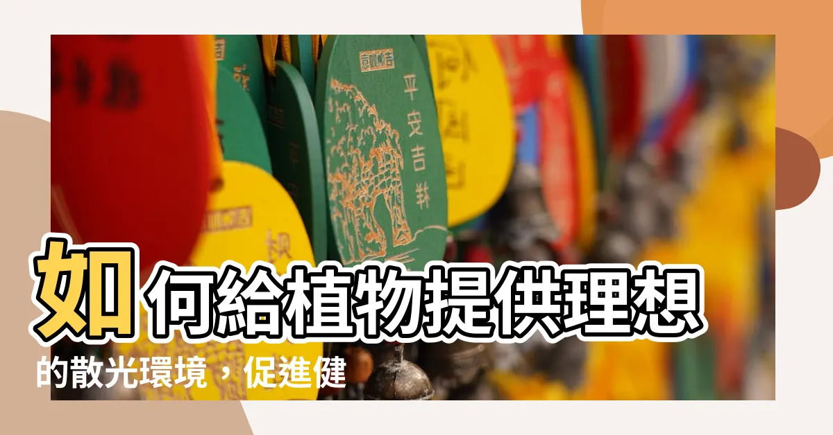 【植物散光】如何給植物提供理想的散光環境，促進健康生長
