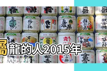 【屬龍人2015年運勢排名】屬龍的人2015年羊年運勢怎麼樣 |董易林版生肖龍年運 |宇天神通玄學命理館 |