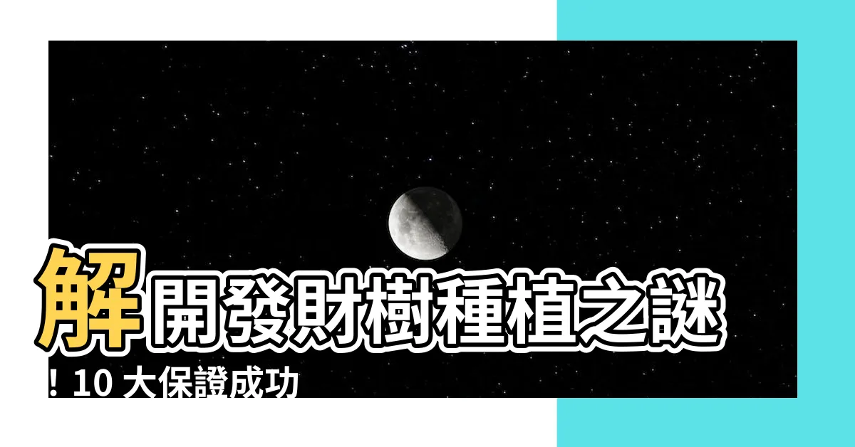 【發財樹的種法】解開發財樹種植之謎！10 大保證成功的種植技巧