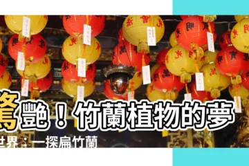 【竹蘭植物】驚艷！竹蘭植物的夢幻世界：一探扁竹蘭的迷人魅力