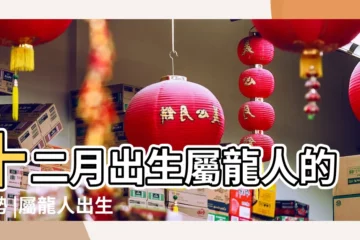 【12月份屬龍人的性格】十二月出生屬龍人的運勢 |屬龍人出生十二個月各月的命運 |農曆12月出生屬龍人命好嗎 |