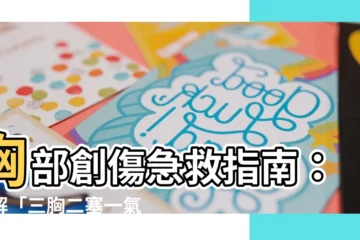 【三胸二塞一氣傷】胸部創傷急救指南：瞭解「三胸二塞一氣傷」！