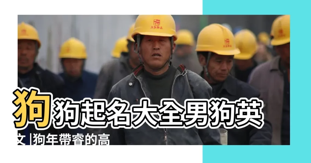 狗狗起名大全男狗英文 |狗年帶睿的高分男孩名字 |屬狗寶寶取名最適用的字 |【狗年男寶起名日式】