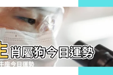 【2 19年屬狗金牛座今日運勢如何】生肖屬狗今日運勢 |金牛座今日運勢 |星座頻道 |