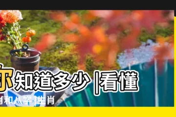 【八字當前開 是什麼生肖】你知道多少 |看懂生肖和八字 |生肖紀年 |