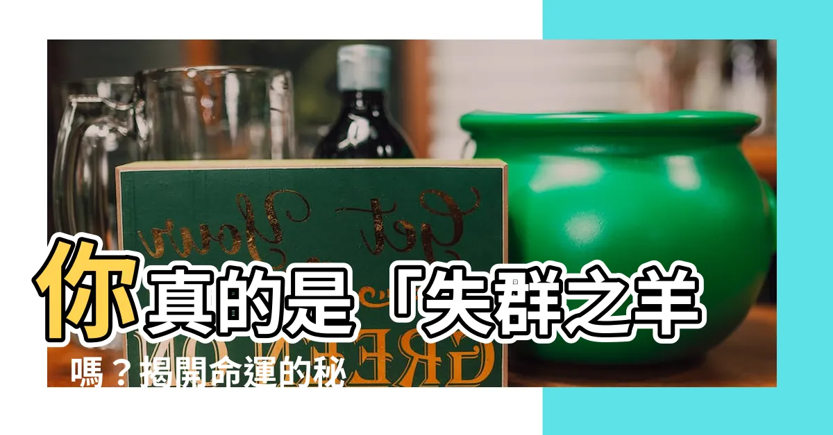 【失羣之羊】你真的是「失羣之羊」嗎？揭開命運的秘密