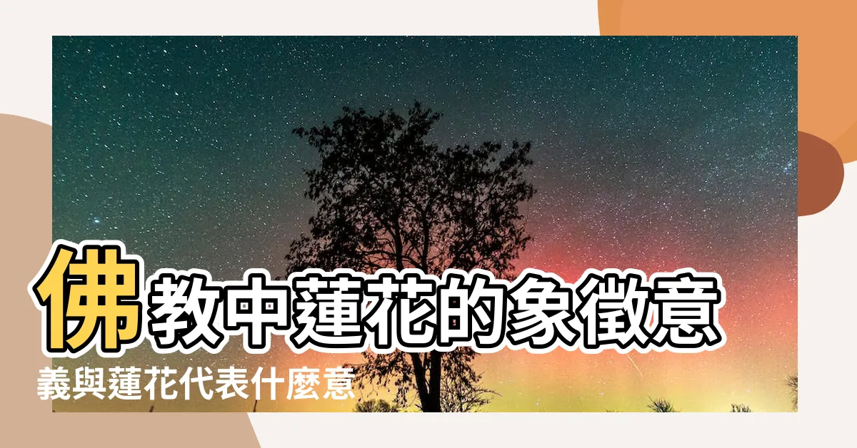 【蓮花代表什麼意思】佛教中蓮花的象徵意義與蓮花代表什麼意思