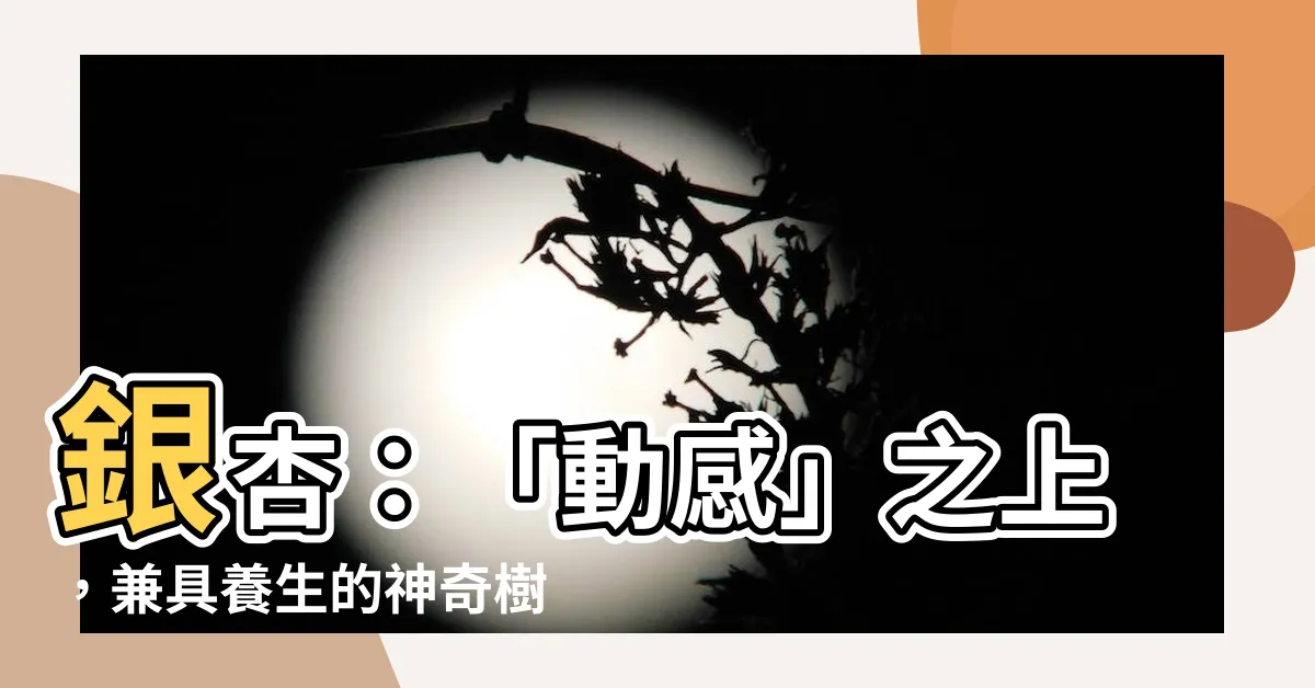 【銀杏樹】銀杏：「動感」之上，兼具養生的神奇樹種！