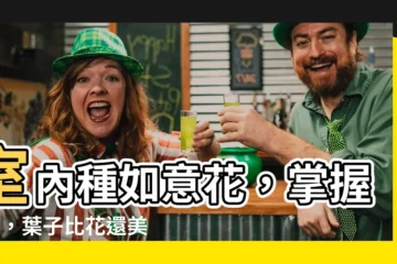 【如意花】室內種如意花，掌握4招，葉子比花還美！