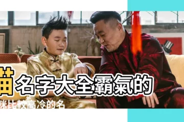 【帶貓的霸氣名字大全】貓名字大全霸氣的 |貓咪比較高冷的名字 |給貓取名字霸氣又拽貓咪名字大全霸氣又拽 |
