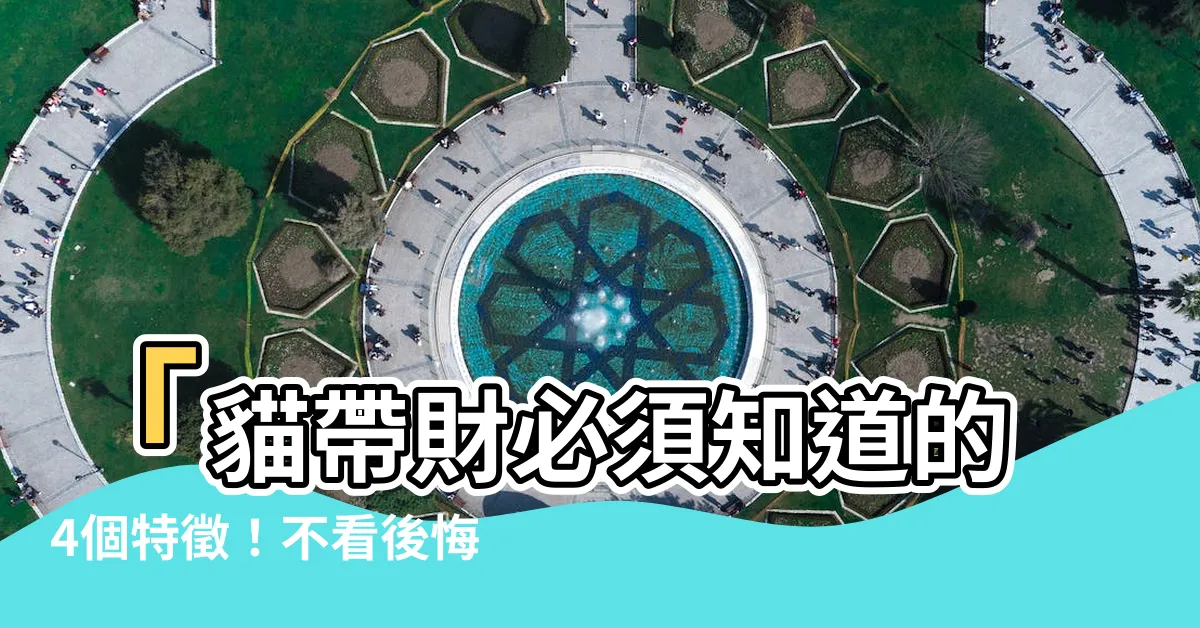 【貓帶財】「貓帶財必須知道的4個特徵！不看後悔！」