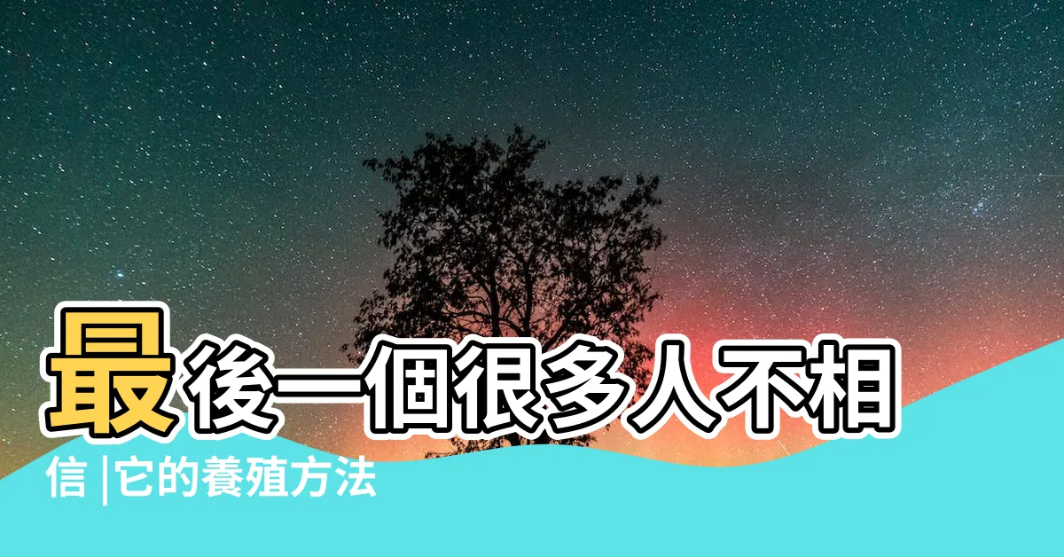 【酒瓶蘭風水】最後一個很多人不相信 |它的養殖方法呢 |盆栽酒瓶蘭4個作用 |