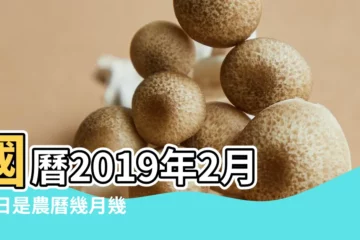 【2019年2月18日農曆是多少】國曆2019年2月18日是農曆幾月幾日 |2019年2月18日黃歷查詢 |2019年農曆國曆對照表 |