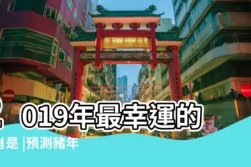 【屬虎夢2019的運程】2019年最幸運的生肖是 |預測豬年桃花運 |十二生肖流年運勢大公開 |