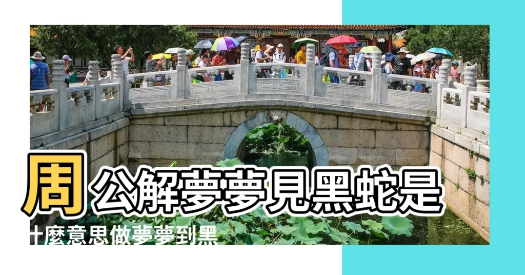 周公解夢夢見黑蛇是什麼意思做夢夢到黑蛇代表什麼 |做夢夢見一條黑蛇好不好 |夢見黑蛇大黑蛇 |【夢到一條黑的大蛇】