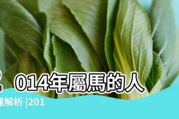 【2014馬年本命年】2014年屬馬的人命運解析 |2014年馬年出生的人的命運 |生肖馬怎樣平安度過2014本命年 |
