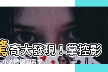 【影子大小】驚奇大發現！掌控影子大小的關鍵因素揭密，一探影子尺寸的謎團