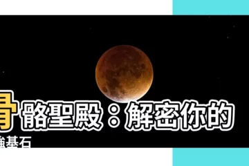 【骨頭】骨骼聖殿：解密你的堅強基石