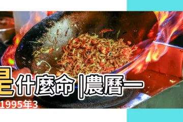 【1995年3月16日陰曆男命】是什麼命 |農曆一九 |1995年3月16日出生日期測一生命運 |