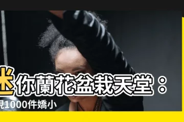 【迷你蘭花】迷你蘭花盆栽天堂：發現1000件嬌小迷人的蘭花瑰寶