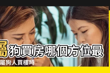 【1970屬狗買房】屬狗買房哪個方位最好 |屬狗人買樓時如何選擇樓層 |屬狗適合住幾樓吉利 |