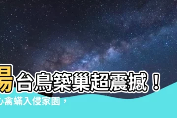 【陽台鳥築巢】陽台鳥築巢超震撼！小心禽蟎入侵家園，這些植物還能招鳥！