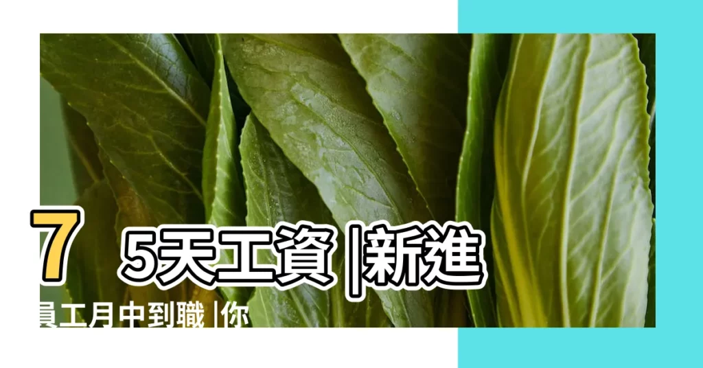 75天工資 |新進員工月中到職 |你發工資的工作日為什麼是每月21 |【一月按21天還是22天】