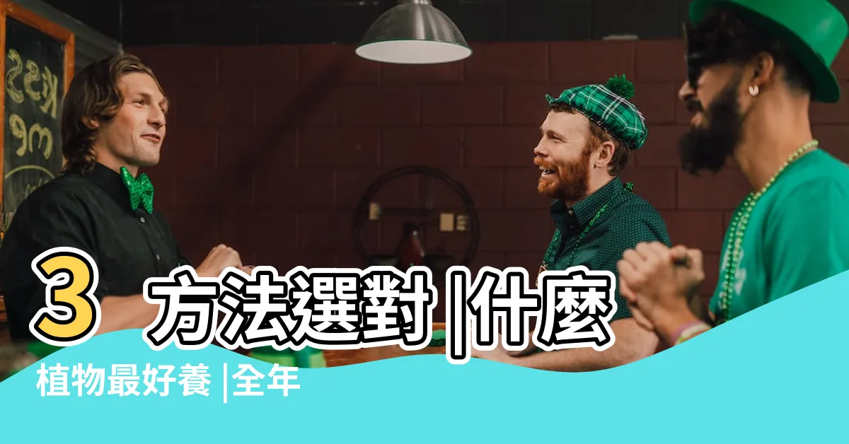 【什麼花最好養】3方法選對 |什麼植物最好養 |全年開花不間斷 |