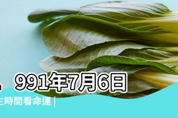 【91年7月6號農曆是多少錢】1991年7月6日出生時間看命運 |屬什麼生肖 |1991年7月6日出生的人生辰八字測算 |