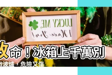 【冰箱上放微波爐】救命！冰箱上千萬別放微波爐，危險又傷荷包！