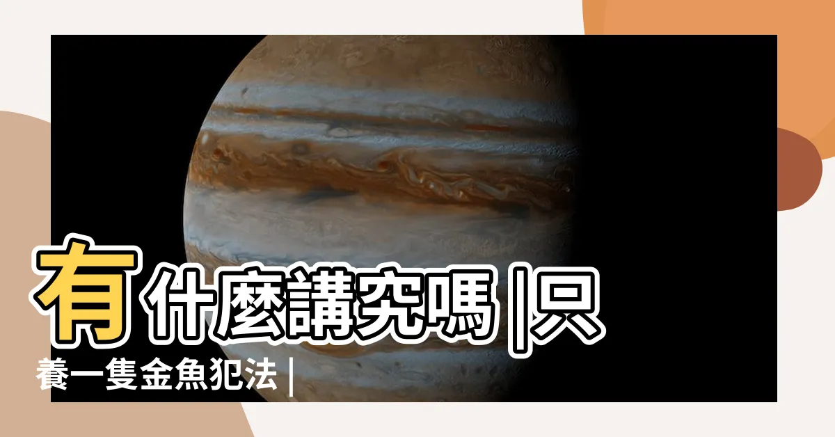 【只養一隻魚】有什麼講究嗎 |只養一隻金魚犯法 |養魚只養一隻會因為無聊死掉嗎 |